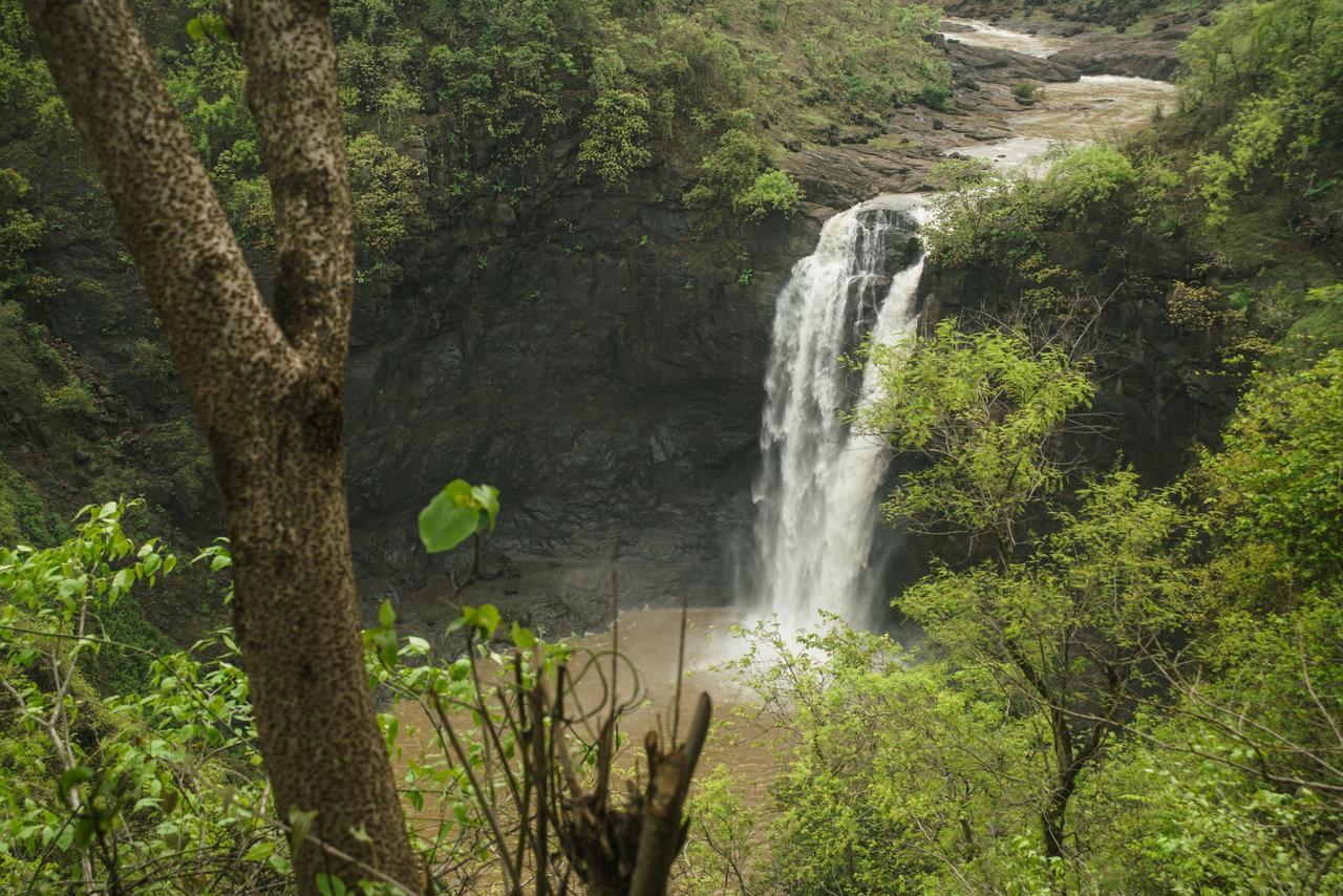 Sterling Nature Trails Dabhosa , Jawahar Birjpara Bagian luar foto
