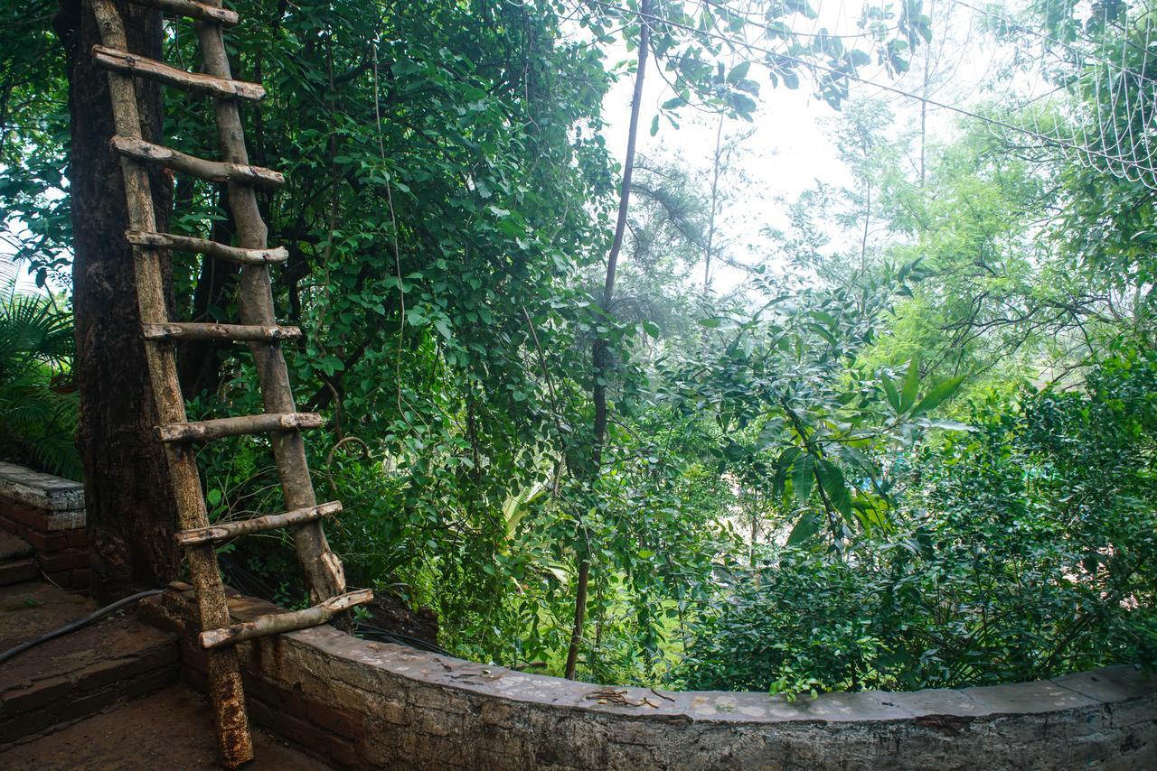 Sterling Nature Trails Dabhosa , Jawahar Birjpara Bagian luar foto