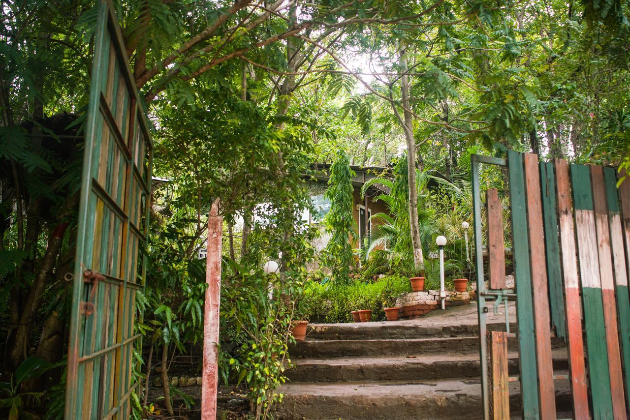 Sterling Nature Trails Dabhosa , Jawahar Birjpara Bagian luar foto