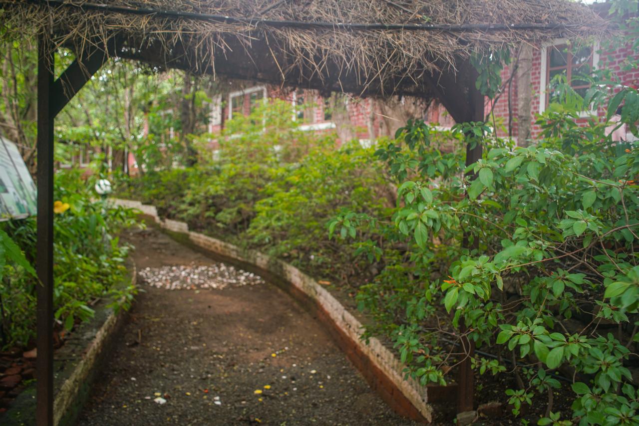 Sterling Nature Trails Dabhosa , Jawahar Birjpara Bagian luar foto