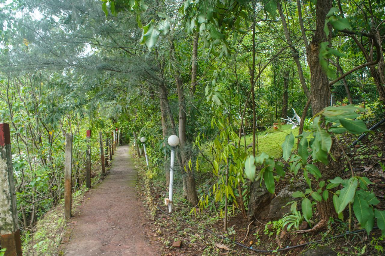 Sterling Nature Trails Dabhosa , Jawahar Birjpara Bagian luar foto